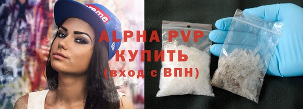ECSTASY Кукмор