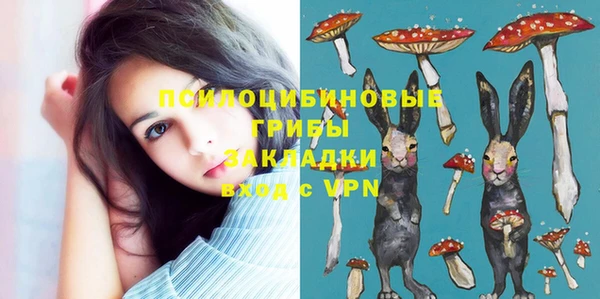 соль ск Нефтегорск
