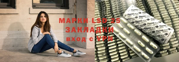 ECSTASY Кукмор