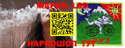 спиды Гусев