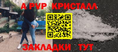 спиды Гусев