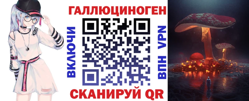 дарнет шоп  OMG как войти  Галлюциногенные грибы GOLDEN TEACHER  Реутов 