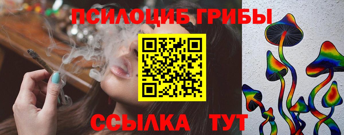 Галлюциногенные грибы прущие грибы Реутов
